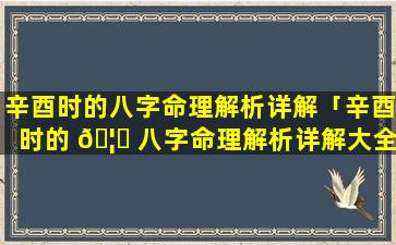 辛酉时的八字命理解析详解「辛酉时的 🦋 八字命理解析详解大全」